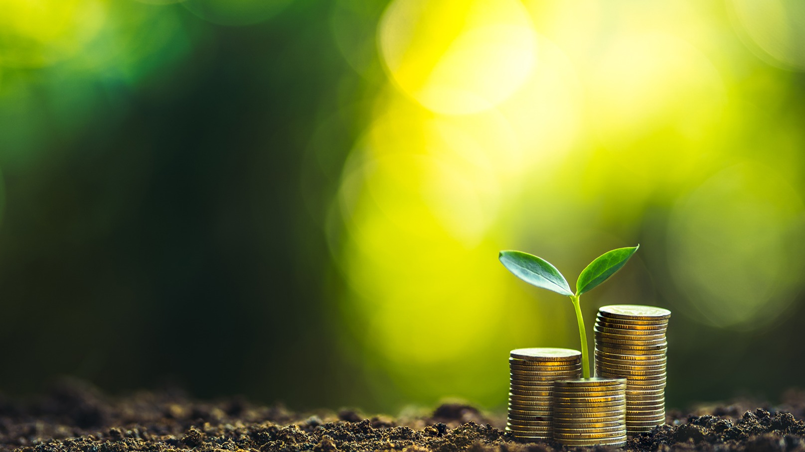 国务院国资委央企“双碳”新要求！