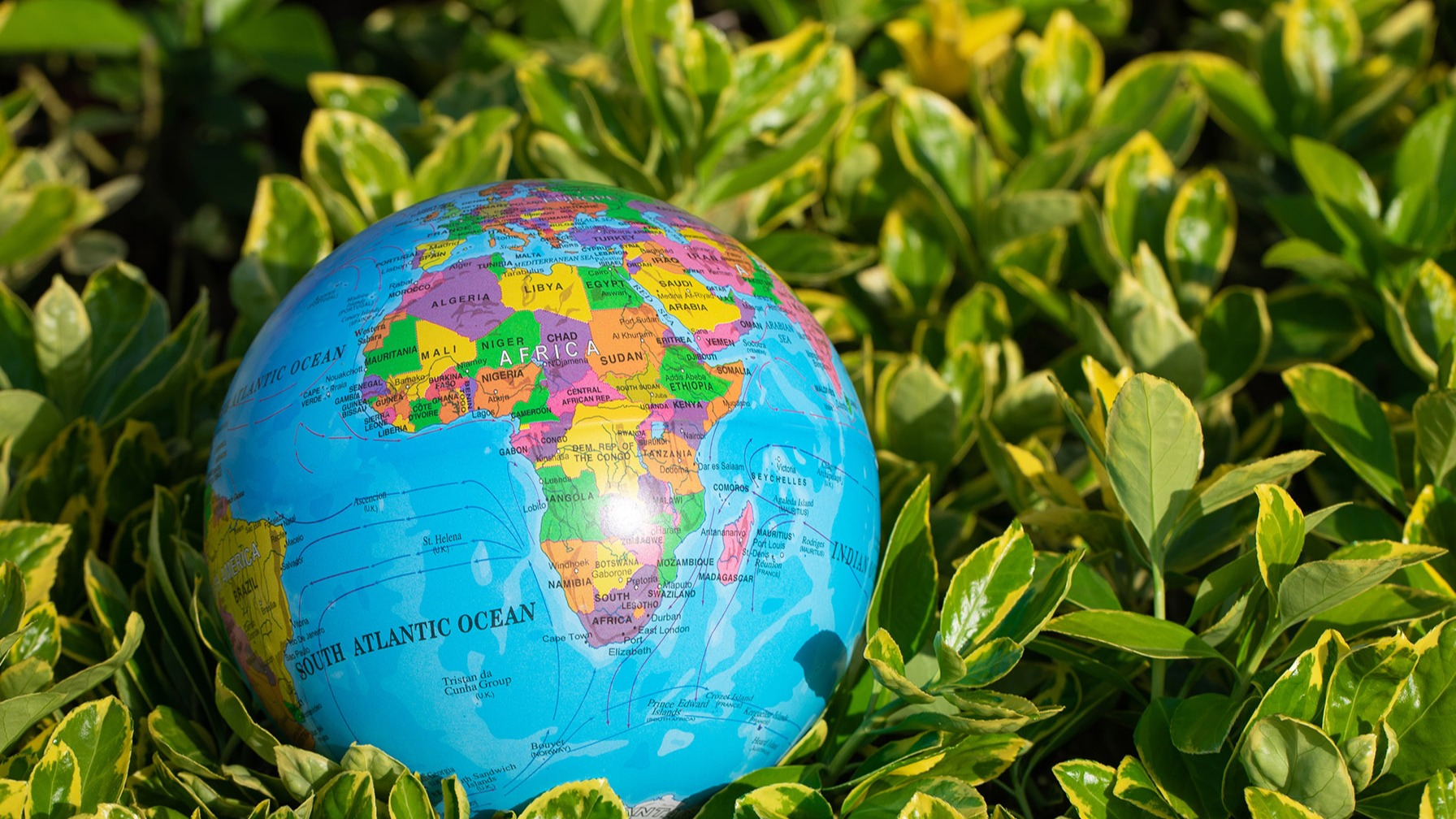 李强总理提出“储能”、“氢能”、“减碳”等合作！